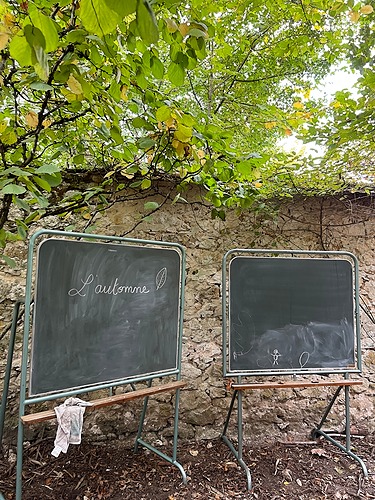 Formation Mettre en place la classe dans la nature